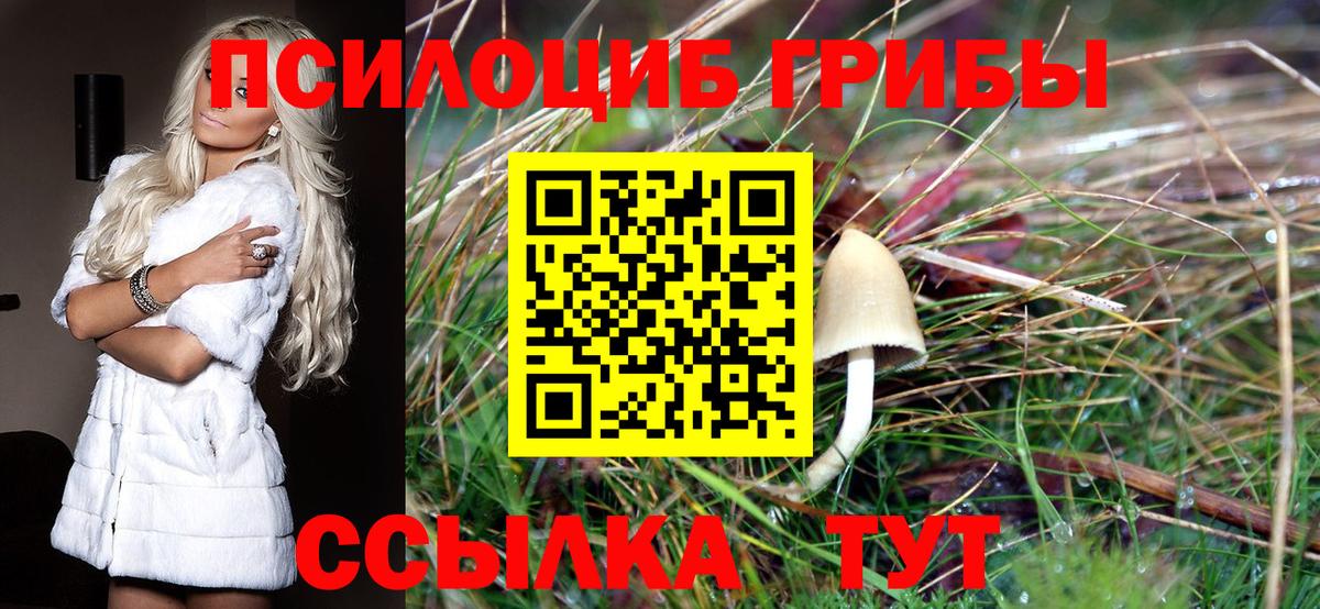Галлюциногенные грибы GOLDEN TEACHER  где продают наркотики  Асино  Галлюциногенные грибы MAGIC MUSHROOMS  Вход с VPN 